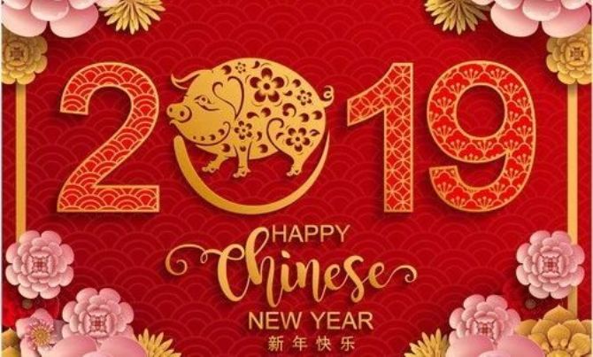 祝你2019豬年快樂(lè)