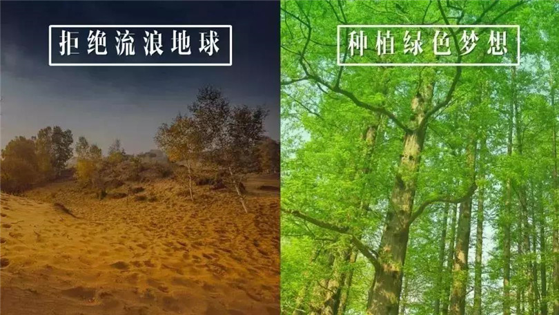 拒絕流浪地球，種植綠色希望